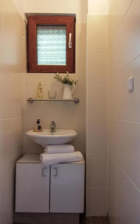 Smokvica - Feigenbaum Apartment Kornic Croatia